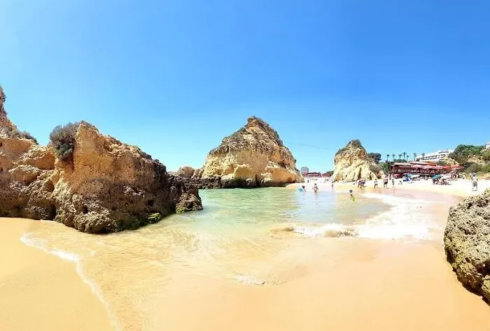 Casa Dourada 아파트 알보르